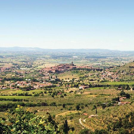 Il Marinocchio Di Malatesti Arezzo Exteriér fotografie